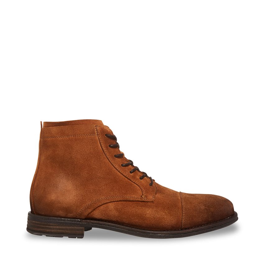 Botines Steve Madden Wells Gamuza Hombre Marrones | ES KHSE40